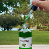 Eucalyptus Scent | Home Collection