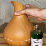 Eucalyptus Scent | Home Collection